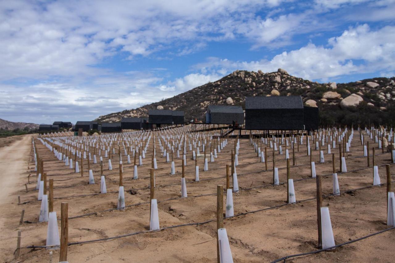 Hotel Oeno Wine Valle de Guadalupe